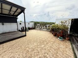 Celadon View (D17), Apartment #535587891